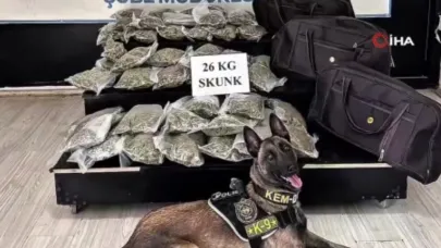 Hakkari’de kamyonetinde 26 kilo skunkla yakalandı