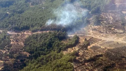 Muğla’da orman yangını kontrol altına alındı