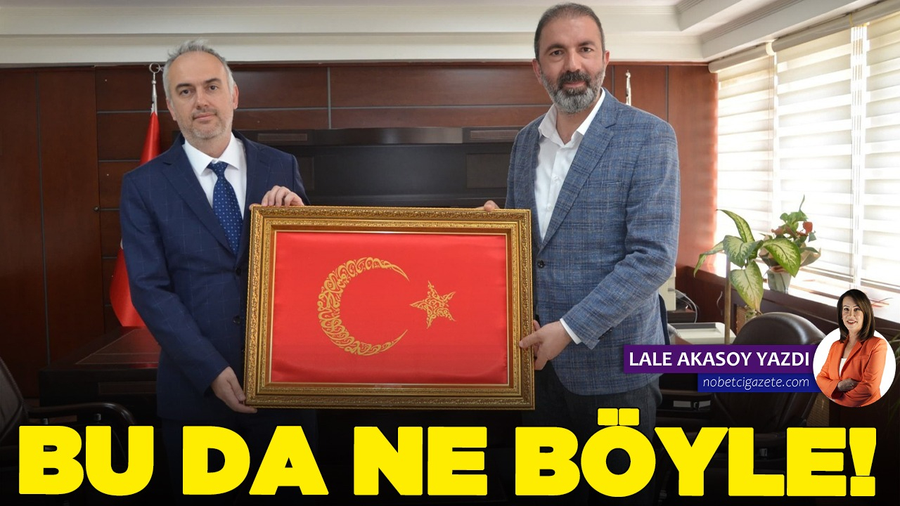 Bu nedir bu?