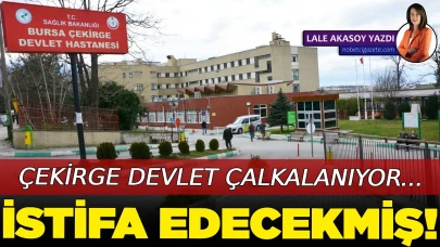 Çekirge Devlet bu söylentiyle çalkalanıyor... İstifa edecekmiş!