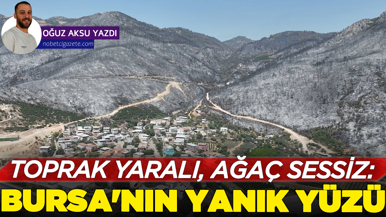 Toprak yaralı, ağaç sessiz: Bursa'nın yanık yüzü